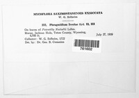 Image Associated With the Occurence